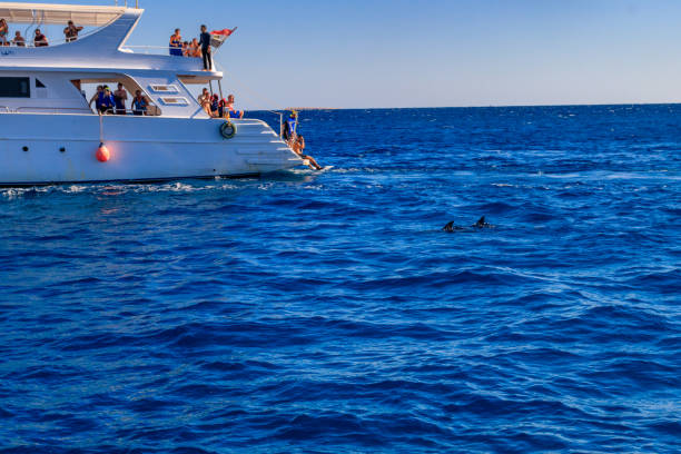 Dolphin Hous Hurgada Boat Trip