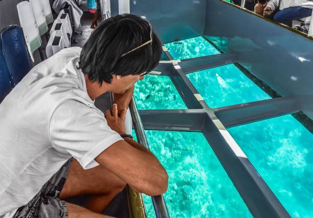 Grand Aquarium Tour With Transfer - Hurghada